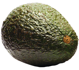 Best Fresh Tasting Avocado
