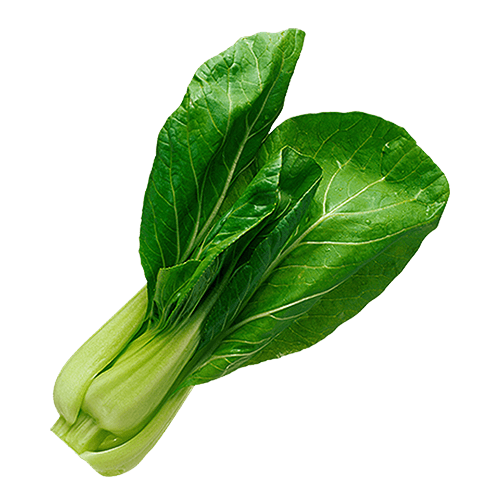 Fresh Salad